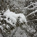 ���� �����, ������������, 32 ���� - ��������� 24 ������� 2011 � ������ ���� ����������