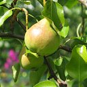 ���� ��������, ����, 53 ���� - ��������� 15 ������� 2009 � ������ ������������