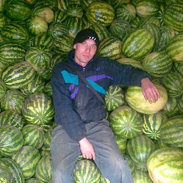 ���� ������, ����������, 44 ���� - ��������� 2 ����� 2012