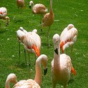 ��������� ������� �� ������� ���� ����������