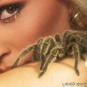 ���� ����, ������ �����, 57 ��� - ��������� 27 �������� 2011 � ������ �PetLove�