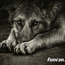 ���������.�� � ����������� ������ ���!������ ����������� � �����, ����, ������� � �������.http://vkontakte.ru/fotometki#/images/1160311 �� ������� ������� ���� �������))�