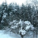 ���� ���������, ���������� - ��������� 10 ������ 2010 � ������ �*** ������� ***�