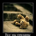   ( -        ,  -  25  2011   