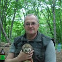 ���� ������, ����������, 62 ���� - ��������� 4 ��� 2012 � ������ ���� ����������