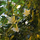 ���� ������, ��������, 66 ��� - ��������� 5 ������ 2013 � ������ ���� ����������