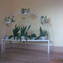 ���� ������, ��������, 39 ��� - ��������� 15 ��� 2011 � ������ �������