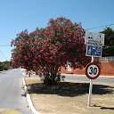 ���� Sheriff, ������� - ��������� 12 ������ 2013 � ������ �Costa del Sol ...�