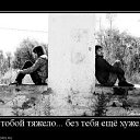  ...),  , 33  -  29  2010    ...)