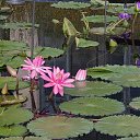 ���� ����� - ���������� ��������!!!, �����������, 56 ��� - ��������� 10 ������ 2010 � ������ ������� �����