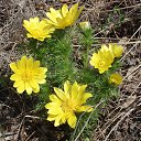 ���� �������, ���������, 51 ��� - ��������� 24 ��� 2013 � ������ ���� ����������