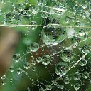 ���� �����, ������, 26 ��� - ��������� 26 �������� 2010 � ������ �����