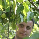 ���� ���������, ������, 38 ��� - ��������� 17 �������� 2011