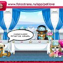 ���� Jeka, �����-���������, 38 ��� - ��������� 2 ������� 2010 � ������ �PetLove�