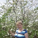 ���� ������, ���������� - ��������� 15 ���� 2013 � ������ ���� ����������