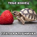 ���� ��������, ����������, 53 ���� - ��������� 15 ������ 2013 � ������ ���� ����������