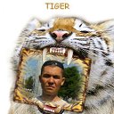 ���� ����, ������, 51 ��� - ��������� 27 ������� 2012