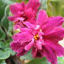 ���� ������, ����������� - ��������� 9 ��� 2010 � ������ ���� ������