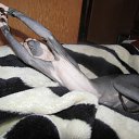 ���� Vladislav, ������, 47 ��� - ��������� 22 ������ 2011 � ������ �� � ��������