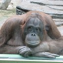  Ykka, , 67  -  19  2012   - !!!!!