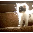  ,  , 23  -  13  2011   