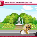  , , 24  -  19  2010   PetLove