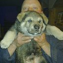 ���� ���������, ������, 55 ��� - ��������� 6 ��� 2012