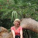 ���� �����, �������, 51 ��� - ��������� 8 ���� 2012 � ������ ���� ����������