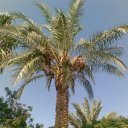 ���� ���������, �������, 45 ��� - ��������� 21 ������ 2012 � ������ �������