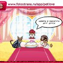  , , 36  -  22  2011   PetLove