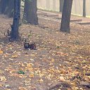 ���� ���������, ������, 61 ��� - ��������� 1 ��� 2011 � ������ ��������...�