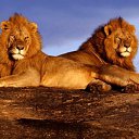 ���� ������, �������, 29 ��� - ��������� 24 ������� 2010 � ������ ���� ����