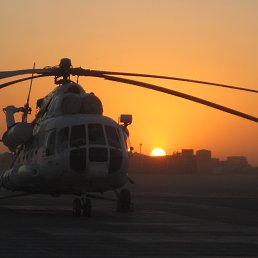 ����, �������� 2010 �.