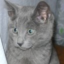 ���� �����, �������, 56 ��� - ��������� 29 ������� 2012 � ������ ������� �������