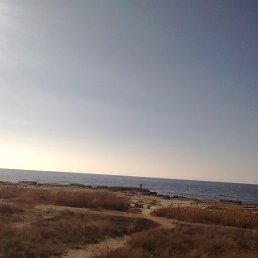 ���� Ffffffff, �����������, 53 ���� - ��������� 17 ������� 2012