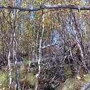 ������� �� ������� ���� ����������