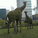 ���� �����, ����������, 60 ��� - ��������� 12 ������ 2011 � ������ ���������;)�