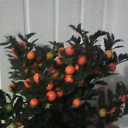 ���� ��������, ������� ����� - ��������� 26 ���� 2013 � ������ ���� ����������