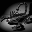 ���� Serega, �����-���������, 34 ���� - ��������� 12 ������ 2010 � ������ ��������