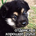 ���� Aleksandr, ��������, 55 ��� - ��������� 3 �������� 2011