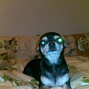 �����) �� ������� ���� �������)�