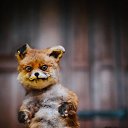 ���� Dima, ���������, 34 ���� - ��������� 4 ������ 2013