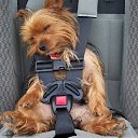  Lika,  -  3  2010      :)