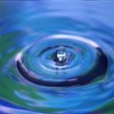 ���� ������, ���������, 42 ���� - ��������� 29 ������� 2011 � ������ ���� ����������