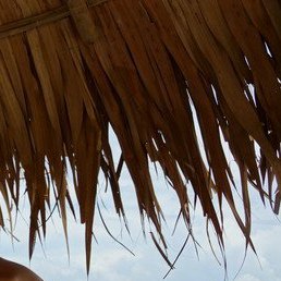 ������� ���������, ����������, 41 ���