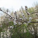 ���� ���� ����, ����������, 50 ��� - ��������� 19 ����� 2010 � ������ ��������� ������!�