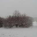 ���� ���������, �����-��������� - ��������� 10 ������ 2009 � ������ �������...�