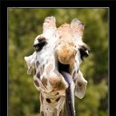 ���� �������, ������, 39 ��� - ��������� 23 ������� 2010 � ������ ��������������