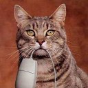 ���� �����, �����-��������� - ��������� 6 ������ 2010 � ������ �������