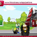  , , 46  -  17  2010   PetLove